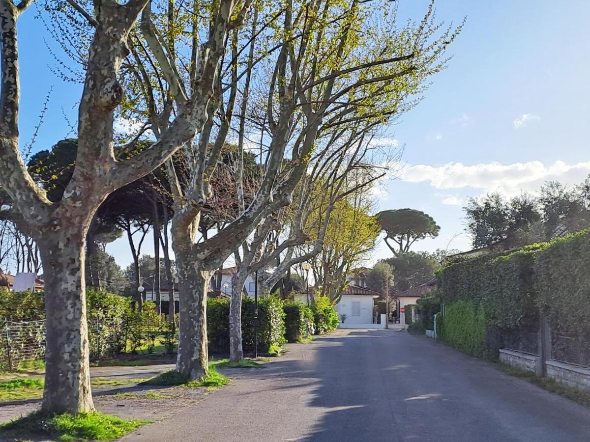 La Casina Di Marco Villa Pietrasanta Exterior foto